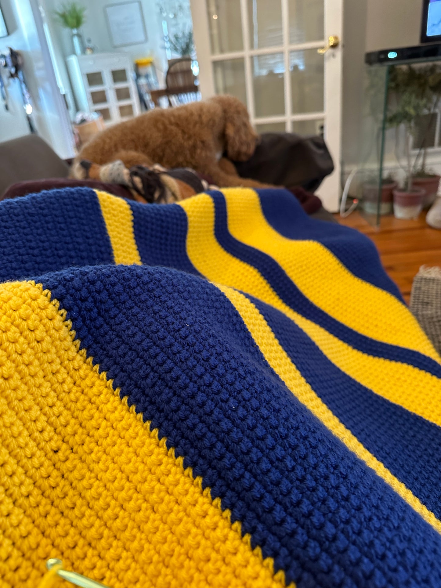 🎓 Campus Pride Throw